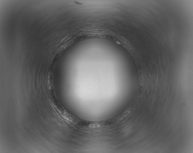 X0000054470764200507291047