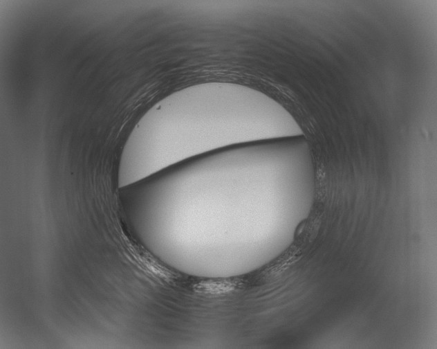 X0000054470765200507291047
