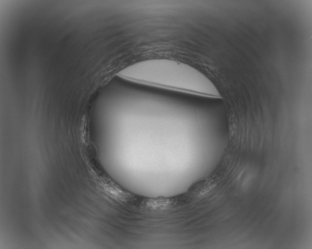 X0000054470767200507291047