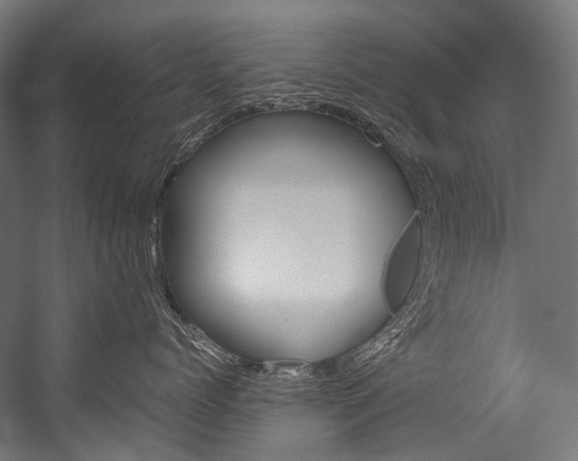 X0000054470768200507291047
