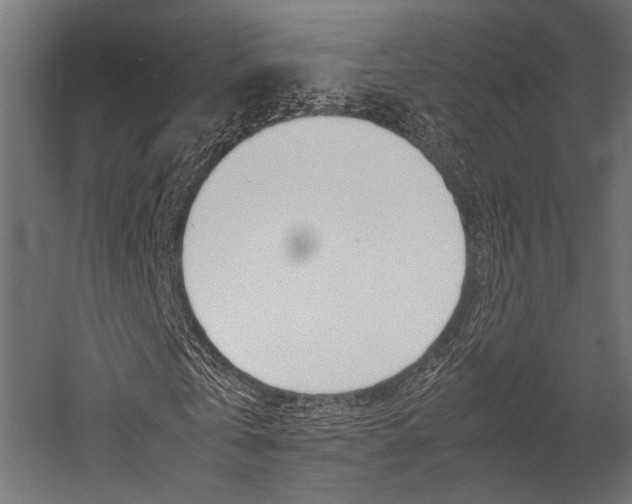 X0000054470769200507291046