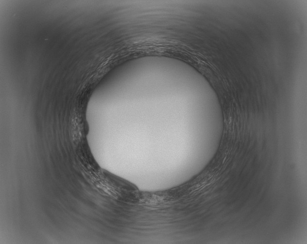 X0000054470772200507291046