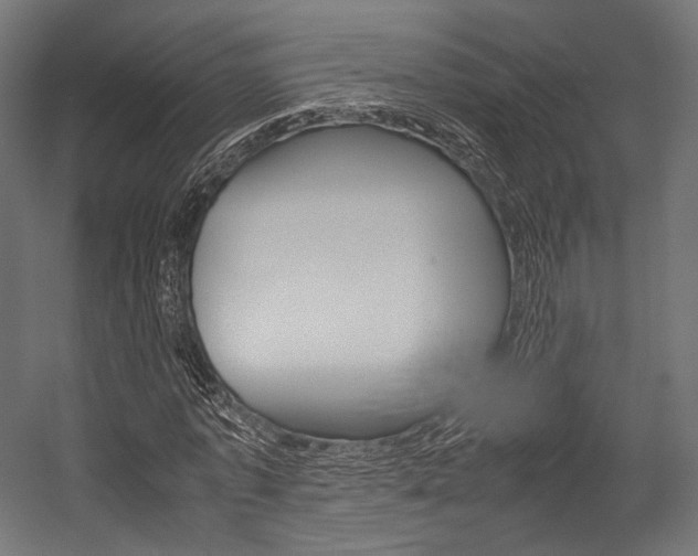 X0000054470773200507291046