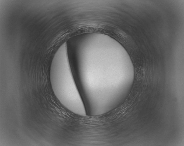X0000054470774200507291046