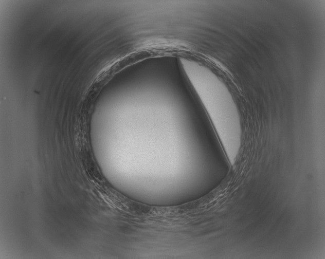 X0000054470775200507291046