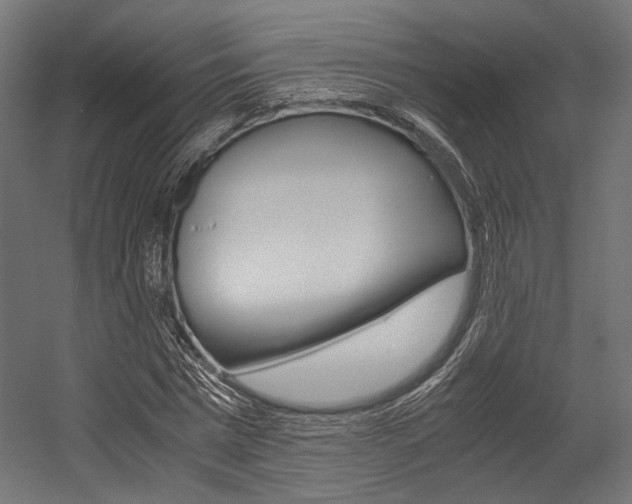 X0000054470777200507291046