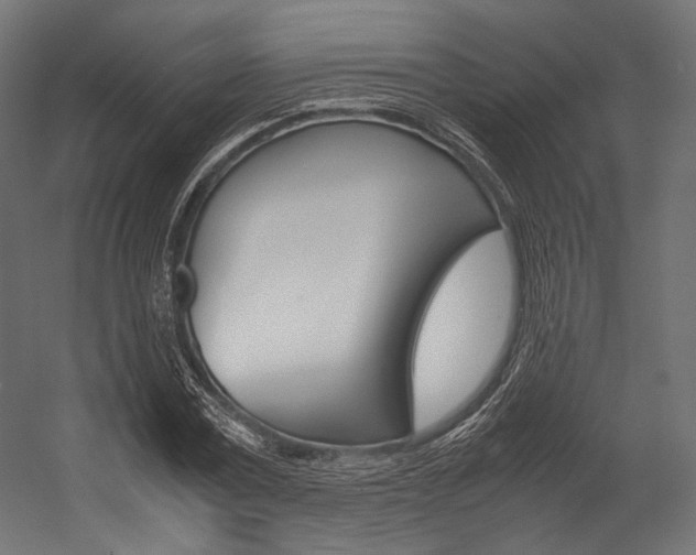 X0000054470779200507291046