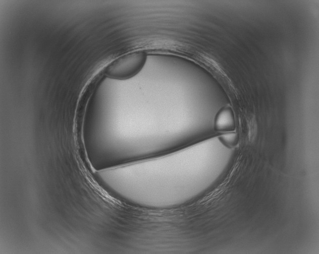 X0000054470780200507291046