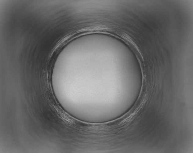 X0000054470781200507291046