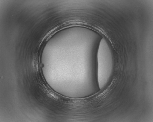 X0000054470782200507291046