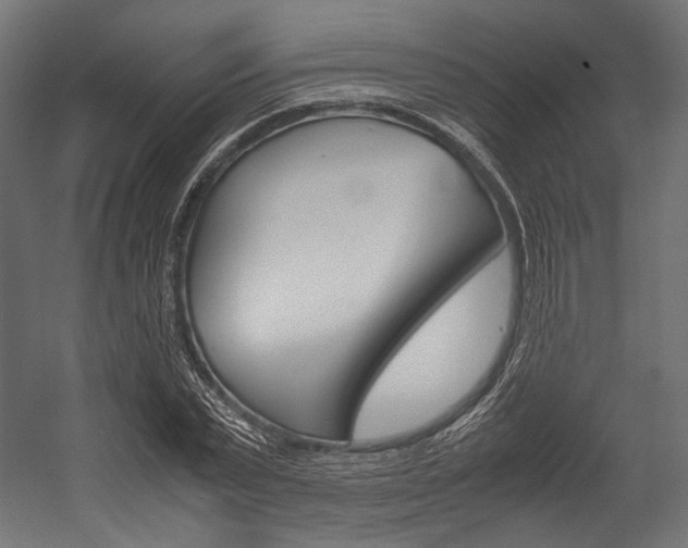 X0000054470783200507291046