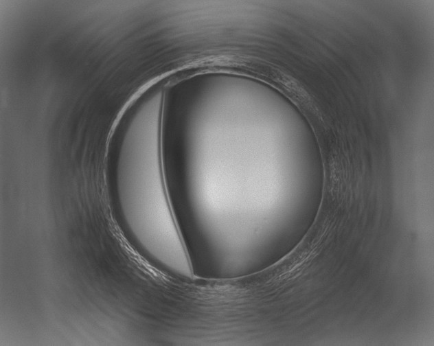 X0000054470784200507291046