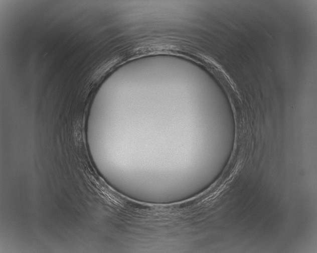 X0000054470785200507291046