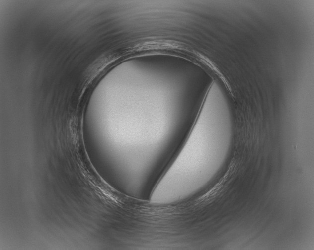 X0000054470786200507291046
