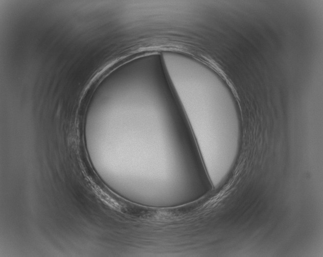 X0000054470787200507291046