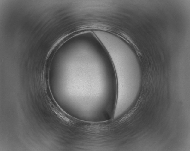 X0000054470788200507291046