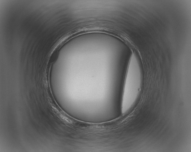 X0000054470789200507291046