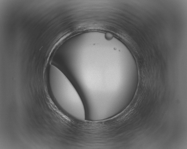 X0000054470790200507291046