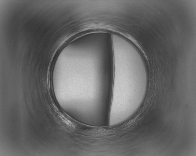 X0000054470791200507291046