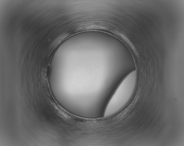 X0000054470793200507291046