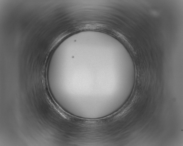 X0000054470794200507291046