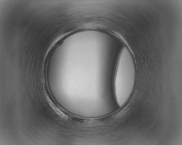 X0000054470795200507291046