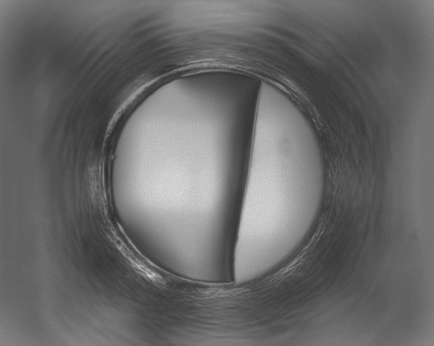 X0000054470796200507291046