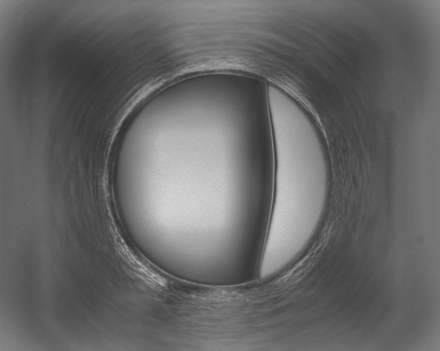 X0000054470797200507291046