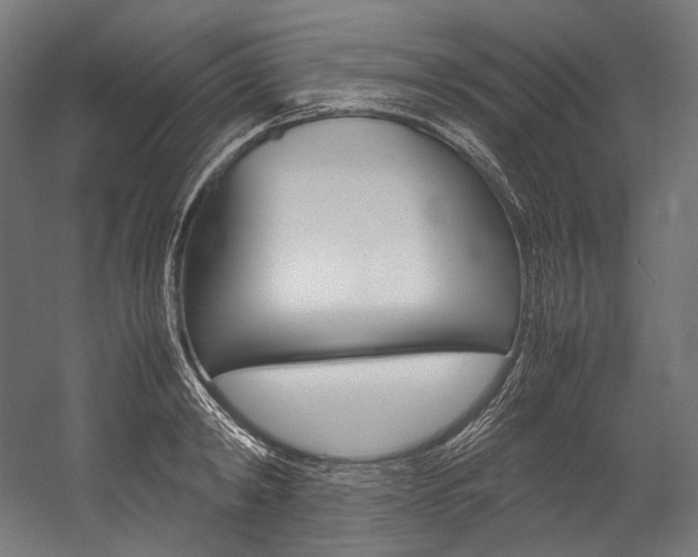 X0000054470798200507291046