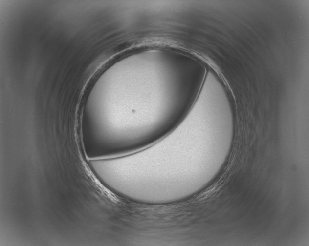 X0000054470799200507291046