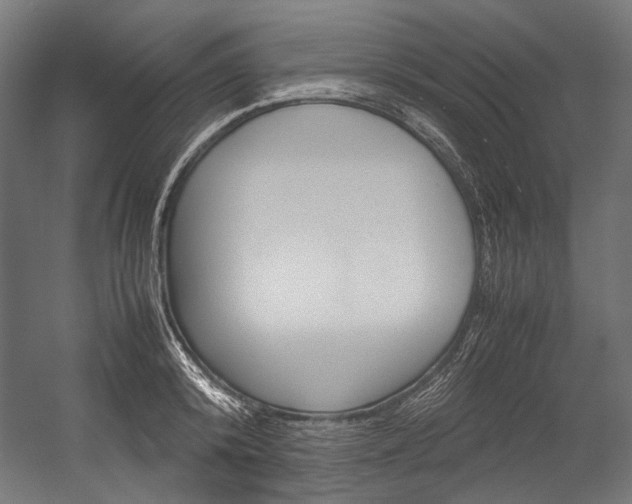 X0000054470800200507291046