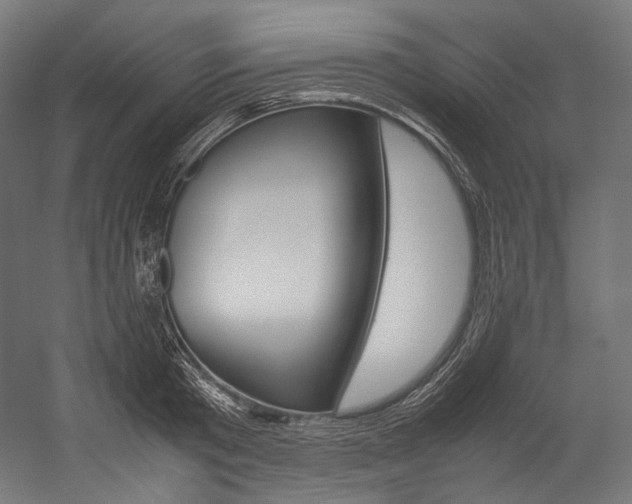 X0000054470801200507291046