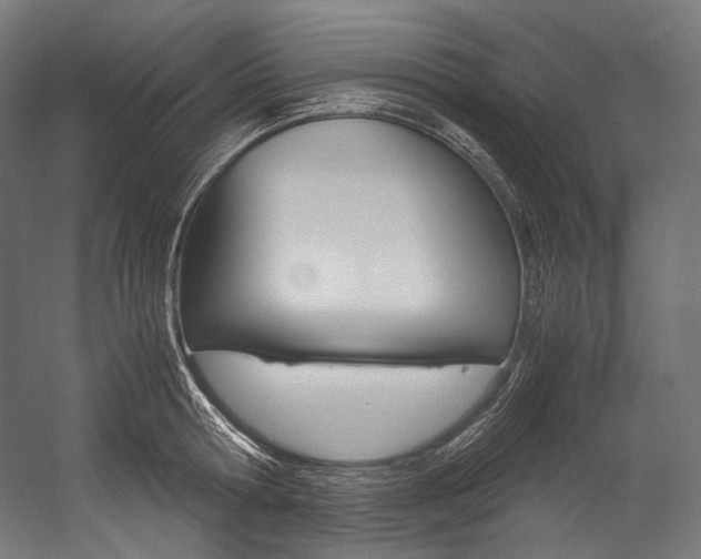 X0000054470802200507291046