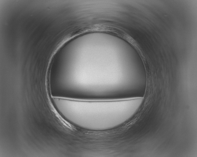 X0000054470803200507291046
