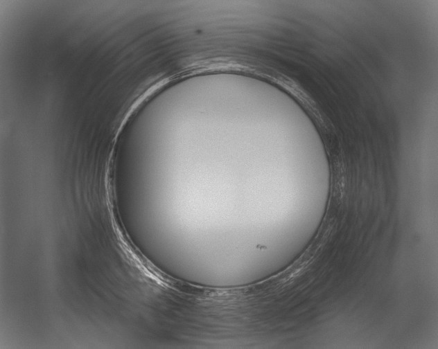 X0000054470806200507291046