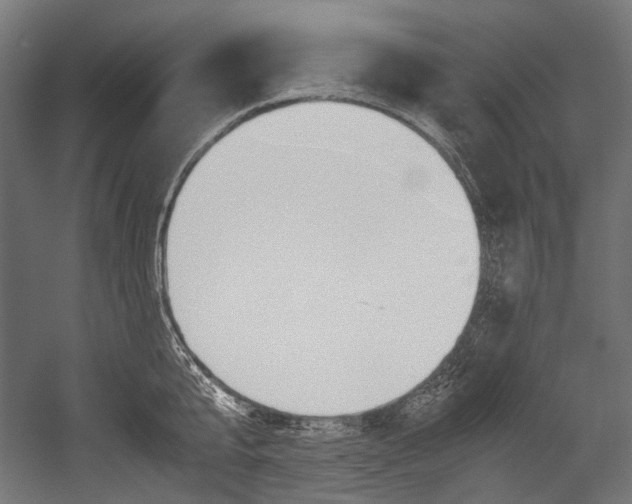 X0000054470807200507291046