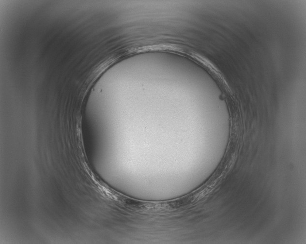 X0000054470809200507291046