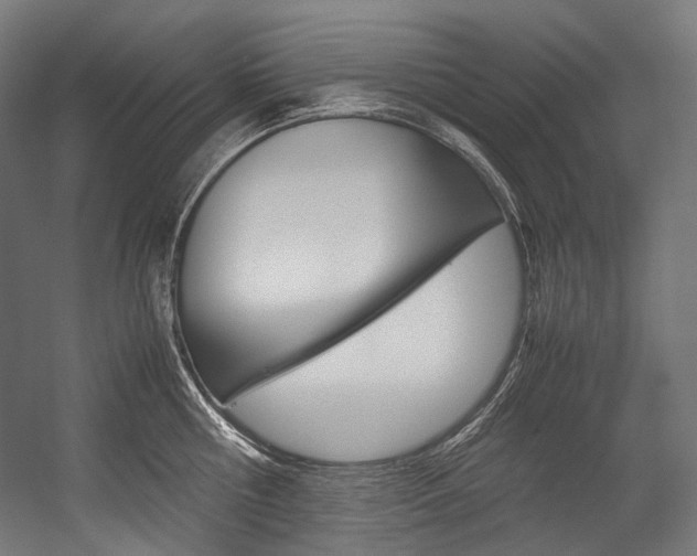 X0000054470810200507291046