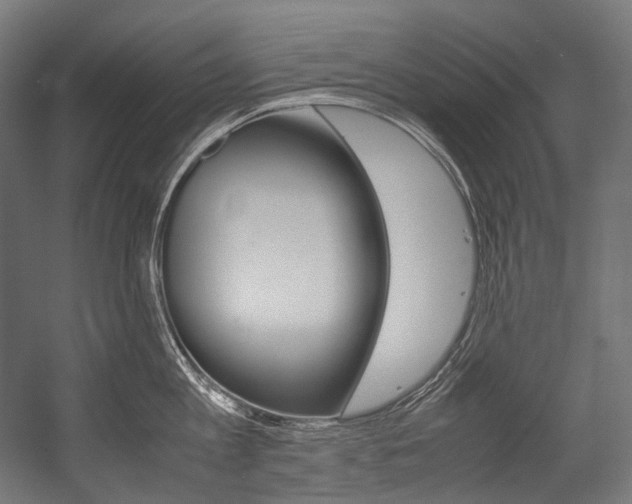 X0000054470813200507291046