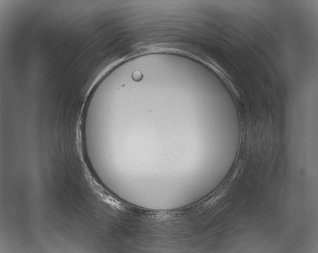 X0000054470814200507291046