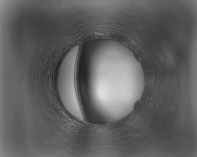 X0000054470817200507291045