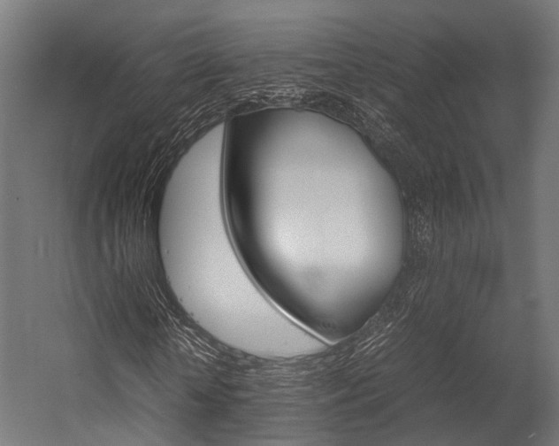 X0000054470818200507291045