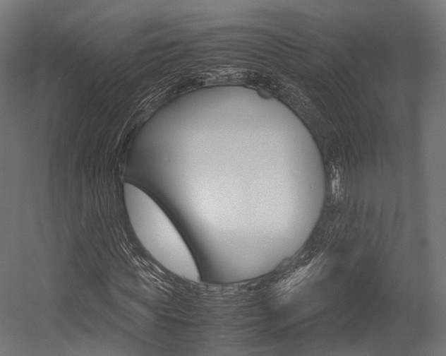 X0000054470819200507291045