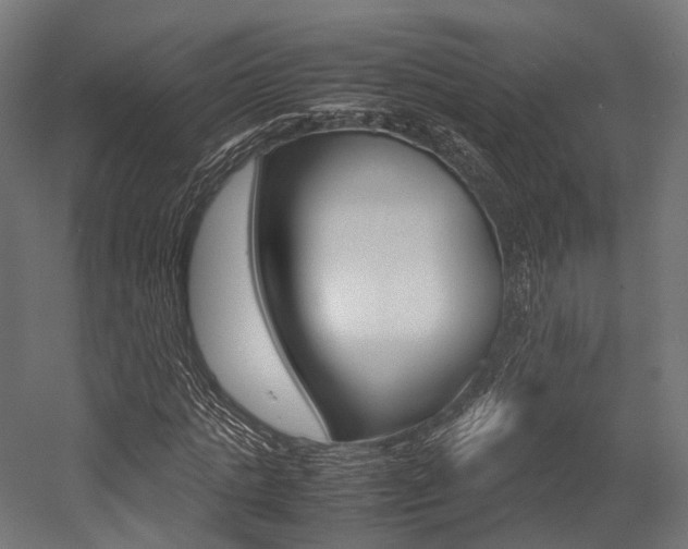 X0000054470821200507291045