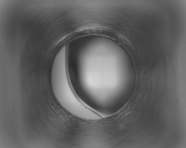 X0000054470822200507291045