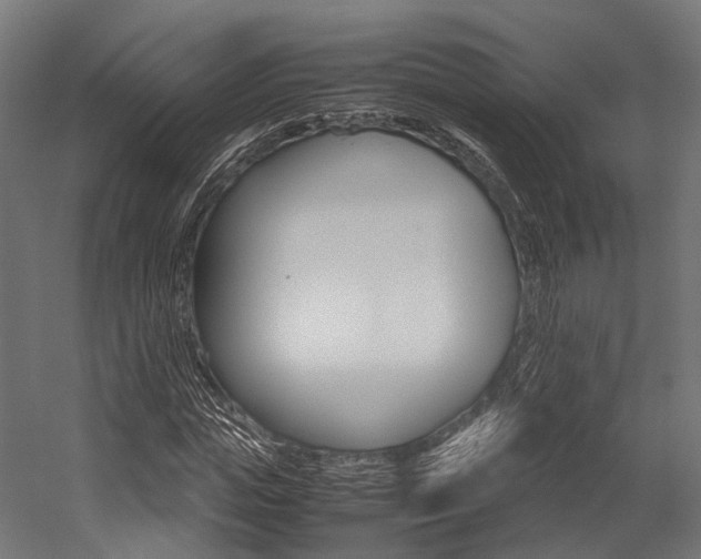 X0000054470823200507291045