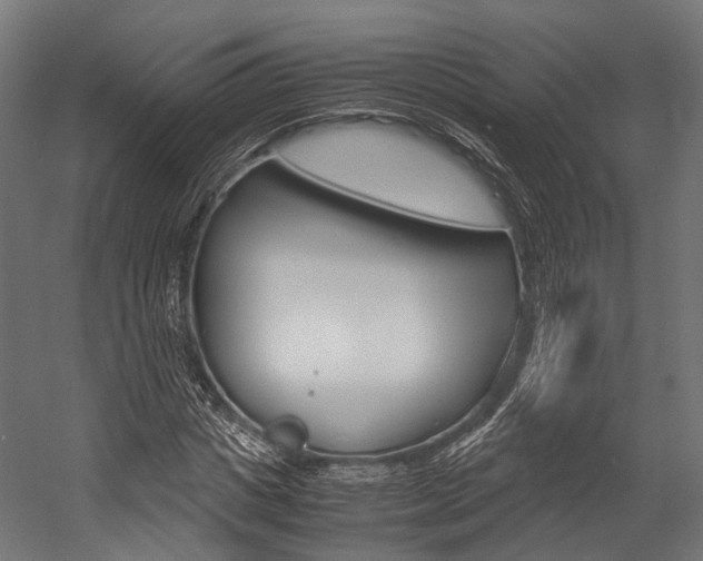 X0000054470825200507291045