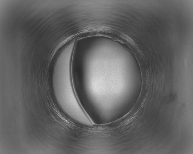 X0000054470826200507291045