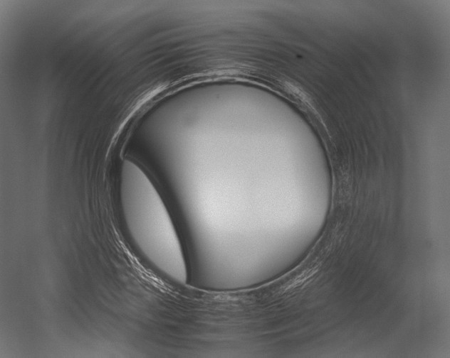 X0000054470827200507291045