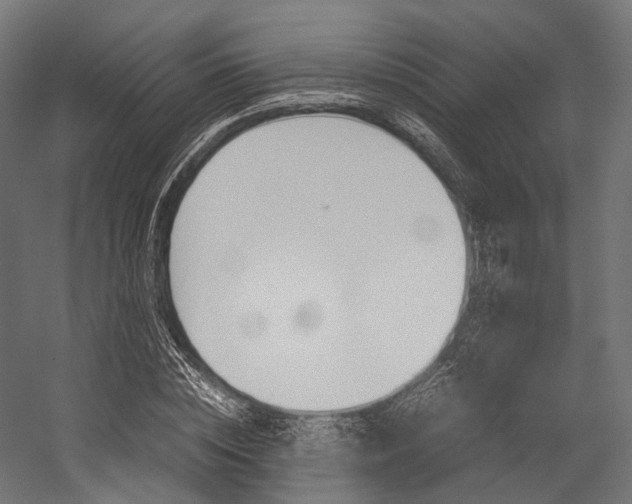 X0000054470828200507291045